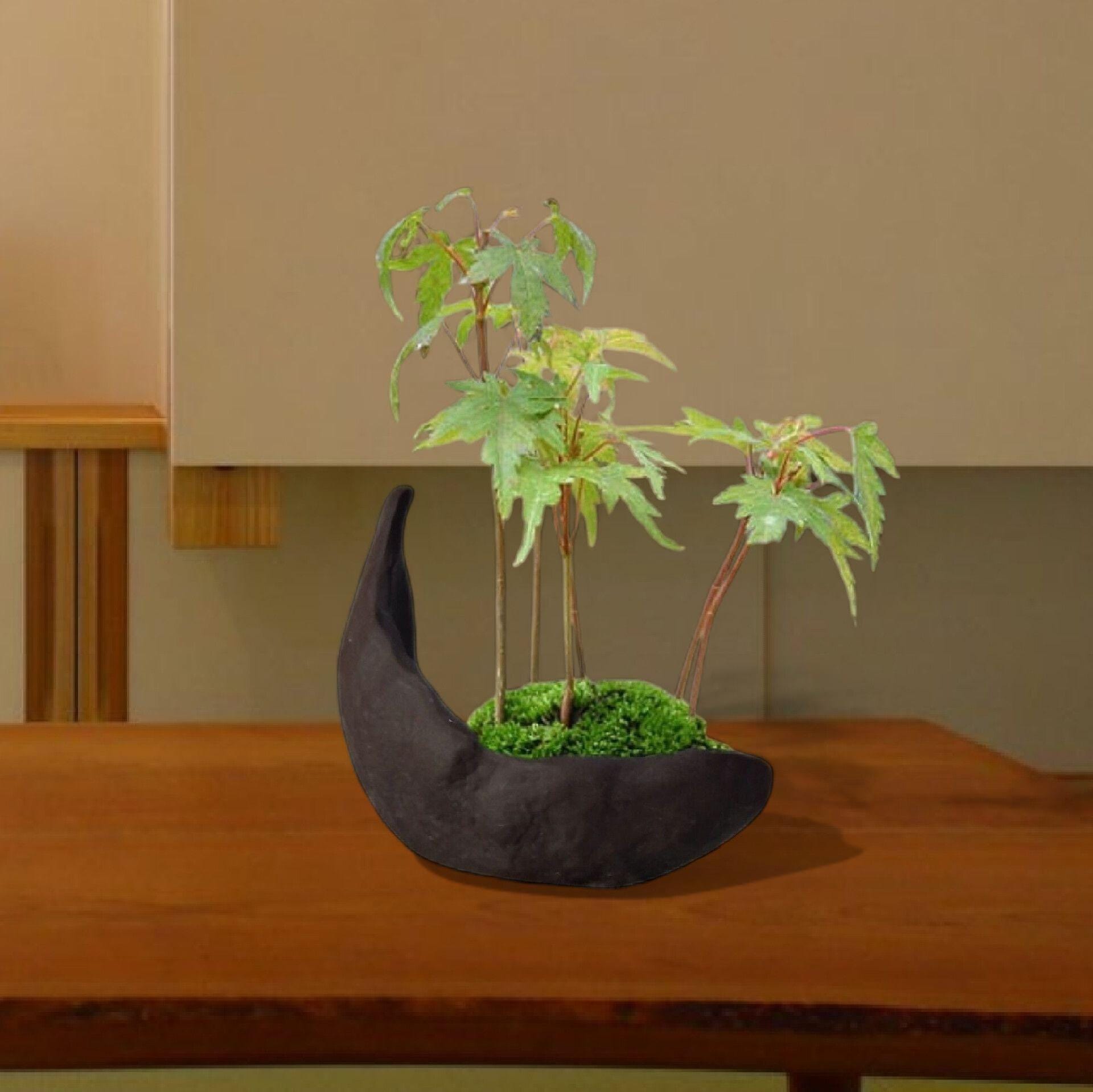 Japanischer handgefertigter Bonsai-Topf, klein / Seto-Ware - Etsy sterreich