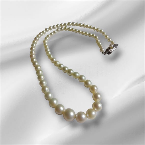 Japanese Akoya Pearl Necklace Grown in Japan