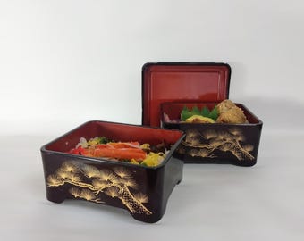 Japoński lunchbox, miska do sushi / miska do ryżu z węgorzem