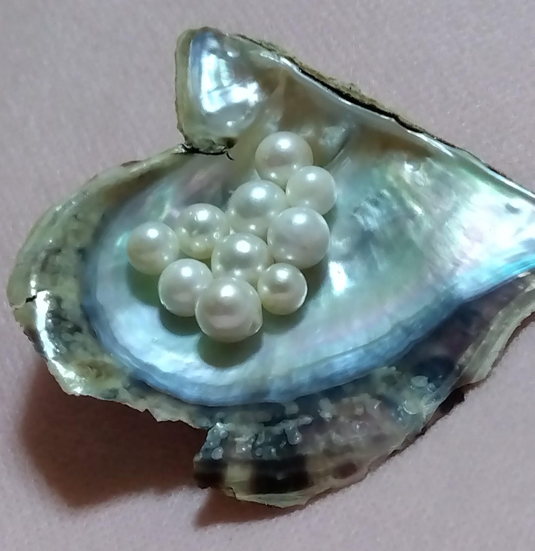 Japanese Saltwater Akoya Pearls / 10 Pcs - Etsy
