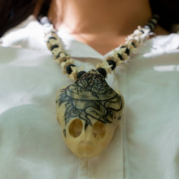 Collier d'amulette chamanique crâne de tortue amazon serpent vertèbres graines choloque shipibo anaconda jiboia reptile huni kuin yawanawa kuripe