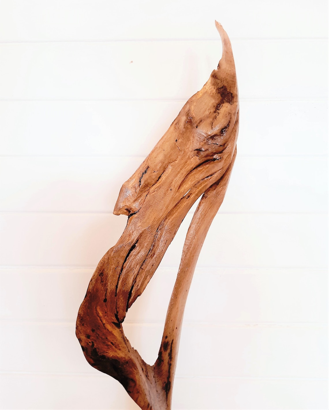 Abstract sculpture. Driftwood oak . Contemporary art Wood Etsy