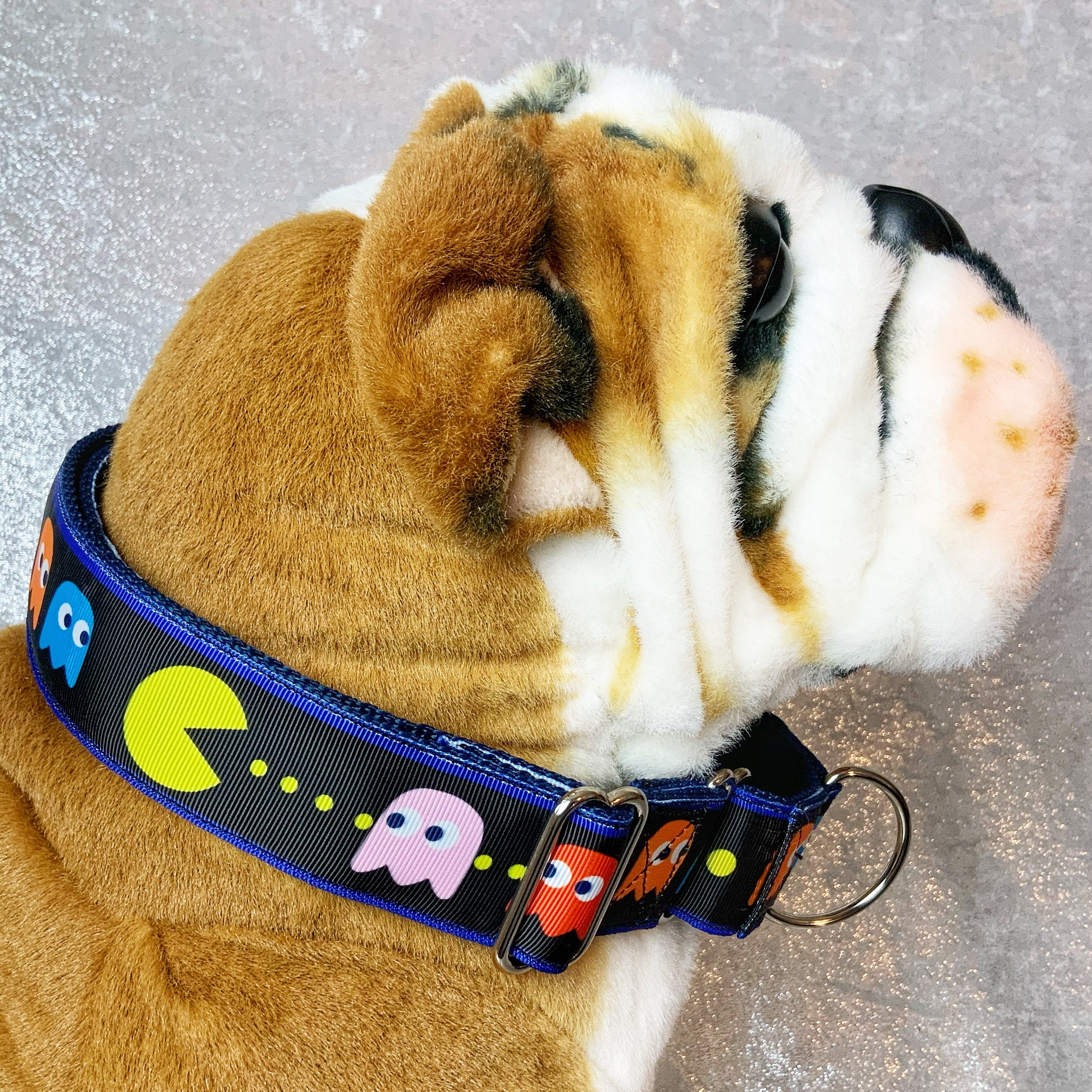 pac dog collar