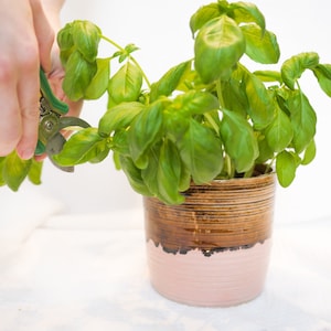 Flower pot Hand made Pink and brown image 1