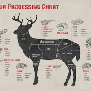 May include: A black and white illustration of a deer with different cuts of meat labeled and described. The cuts include neck, ribs, shoulder/chuck, shank, loin/backstrap, rump, leg/round, flank, and tenderloin. Each cut is described with different cooking methods, such as roast, stew, braise, burger, sausage, jerky, and kabobs.