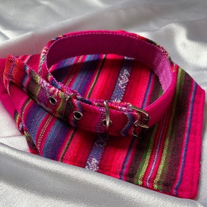 May include: A pink and multi-colored striped fabric dog collar with a silver buckle.