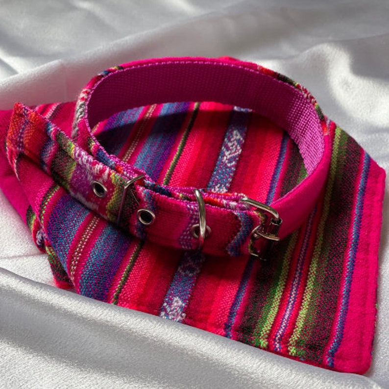 May include: A pink and multi-colored striped fabric dog collar with a silver buckle.
