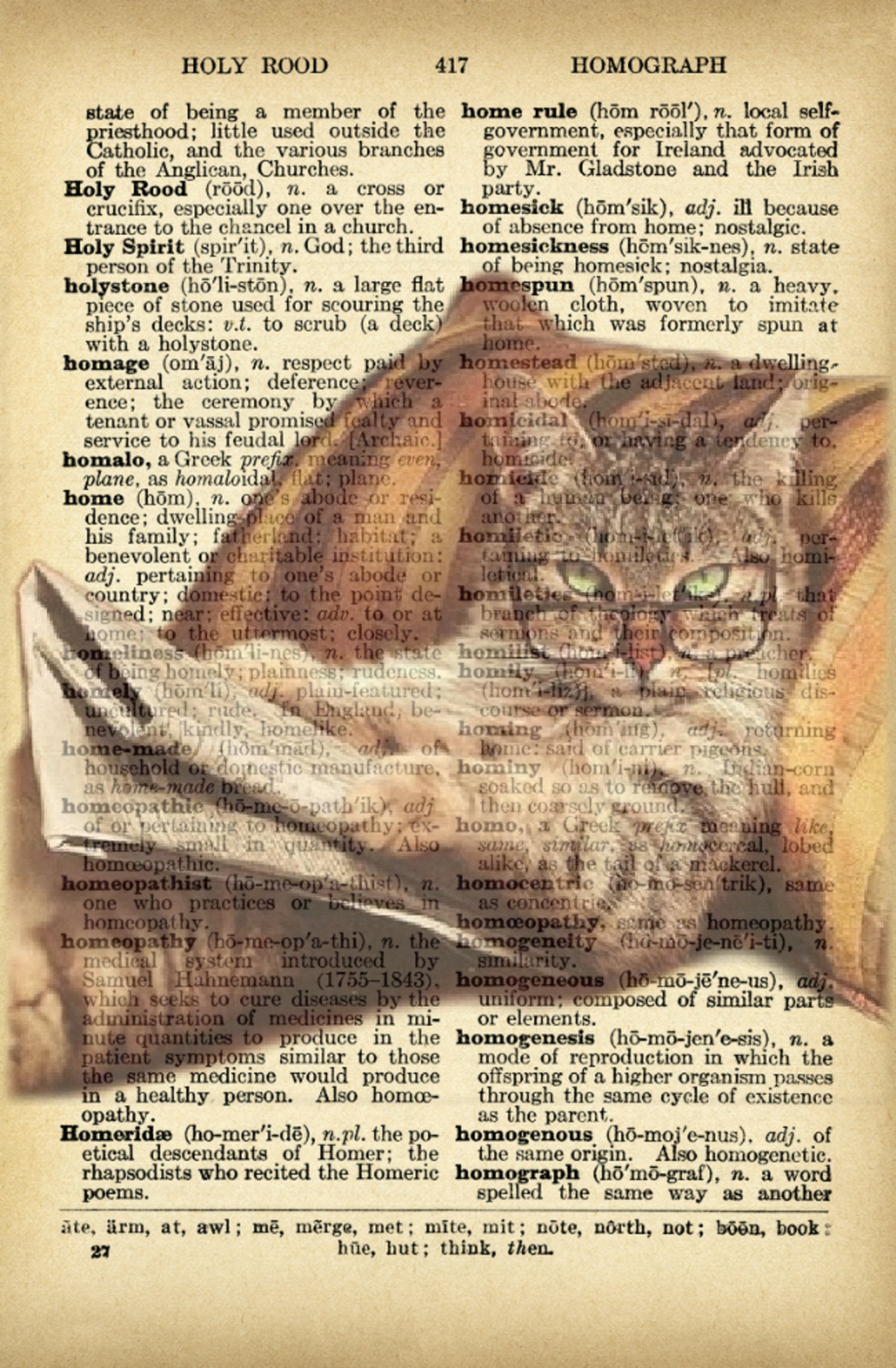 Printable Smart Cat Dictionary Page Art Print Etsy
