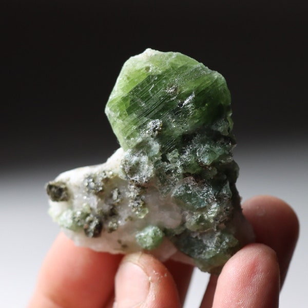 Huge Diopside Crystal in Marble w/ Muscovite | Natural Diopside Crystal, Rare Mineral, Merelani, Tanzanian Diopside, Rare Mineral Specimen