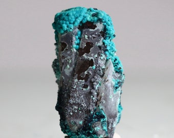 Azurite on Botryoidal Chrysocolla on Quartz w/ Malalchite  | Raw Quartz Crystal Raw Crystal Point Stone Healing Crystal Point