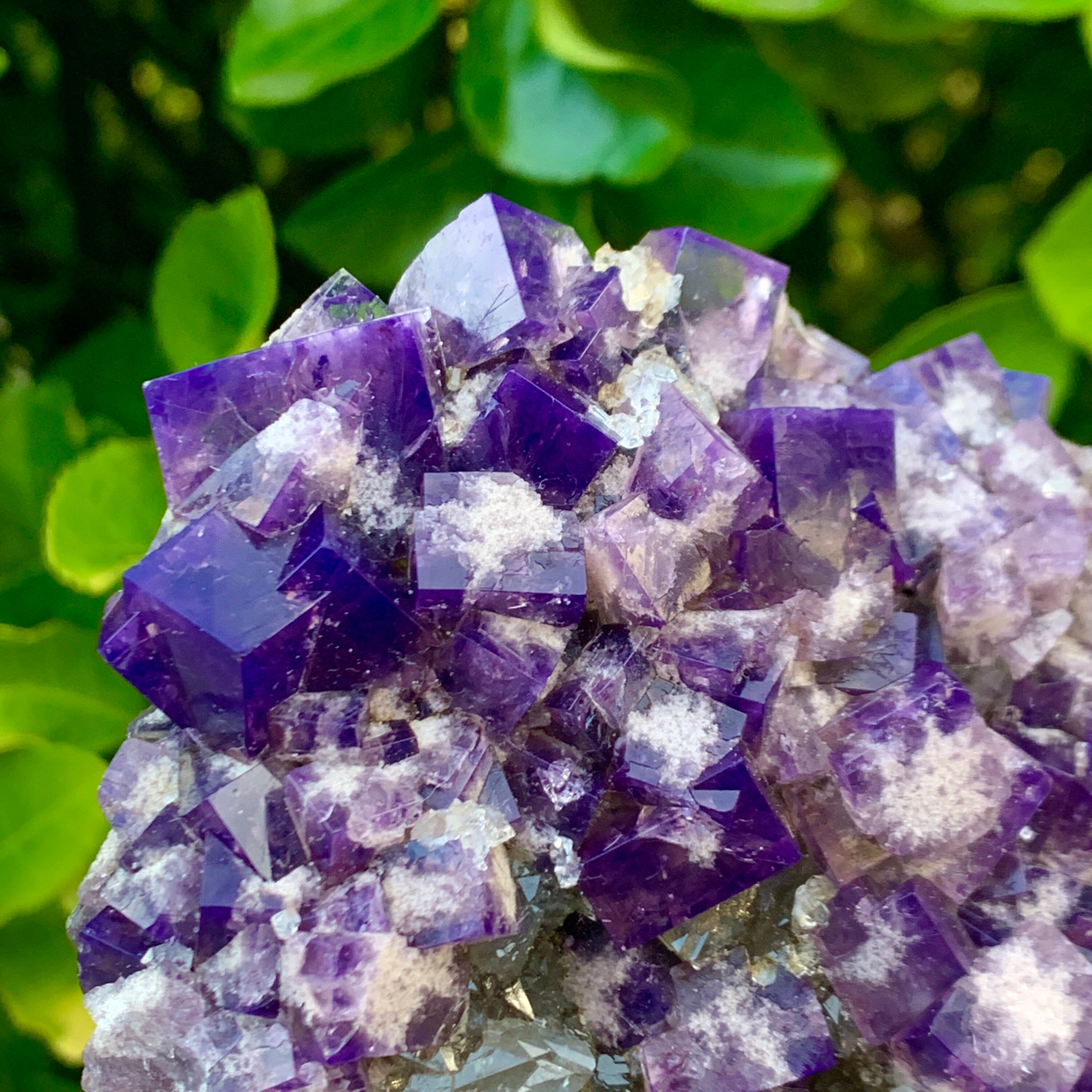 Color Changing Fluorite on Quartz Rogerley Fluorite Etsy