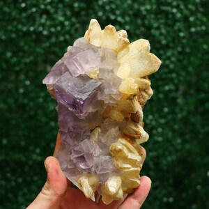 Calcite with Fluorite | Natural Fluorite Crystal Fluorite Gemstone Raw Fluorite Mineral Chinese Fluorite Healing Crystal Mineral Specimen