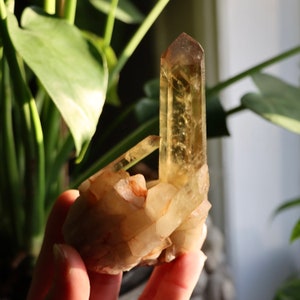 Natural Citrine Point  | Citrine point, Phantom Citrine Natural Citrine Crystal Grid Citrine  Jewelry Wire Wrap Mineral Specimen