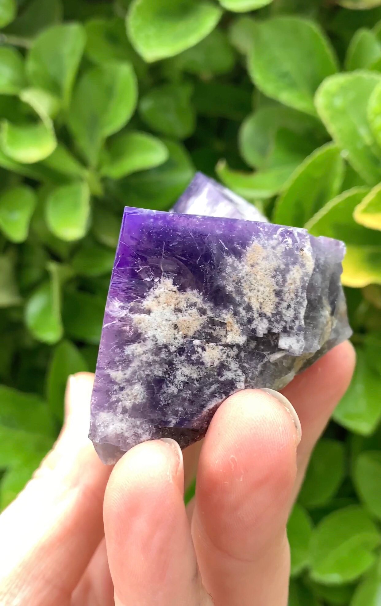 Color Changing Fluorite Rogerley Fluorite Diana Maria Mine Etsy