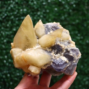 Calcite with Fluorite | Natural Fluorite Crystal Fluorite Gemstone Raw Fluorite Mineral Chinese Fluorite Healing Crystal Mineral Specimen
