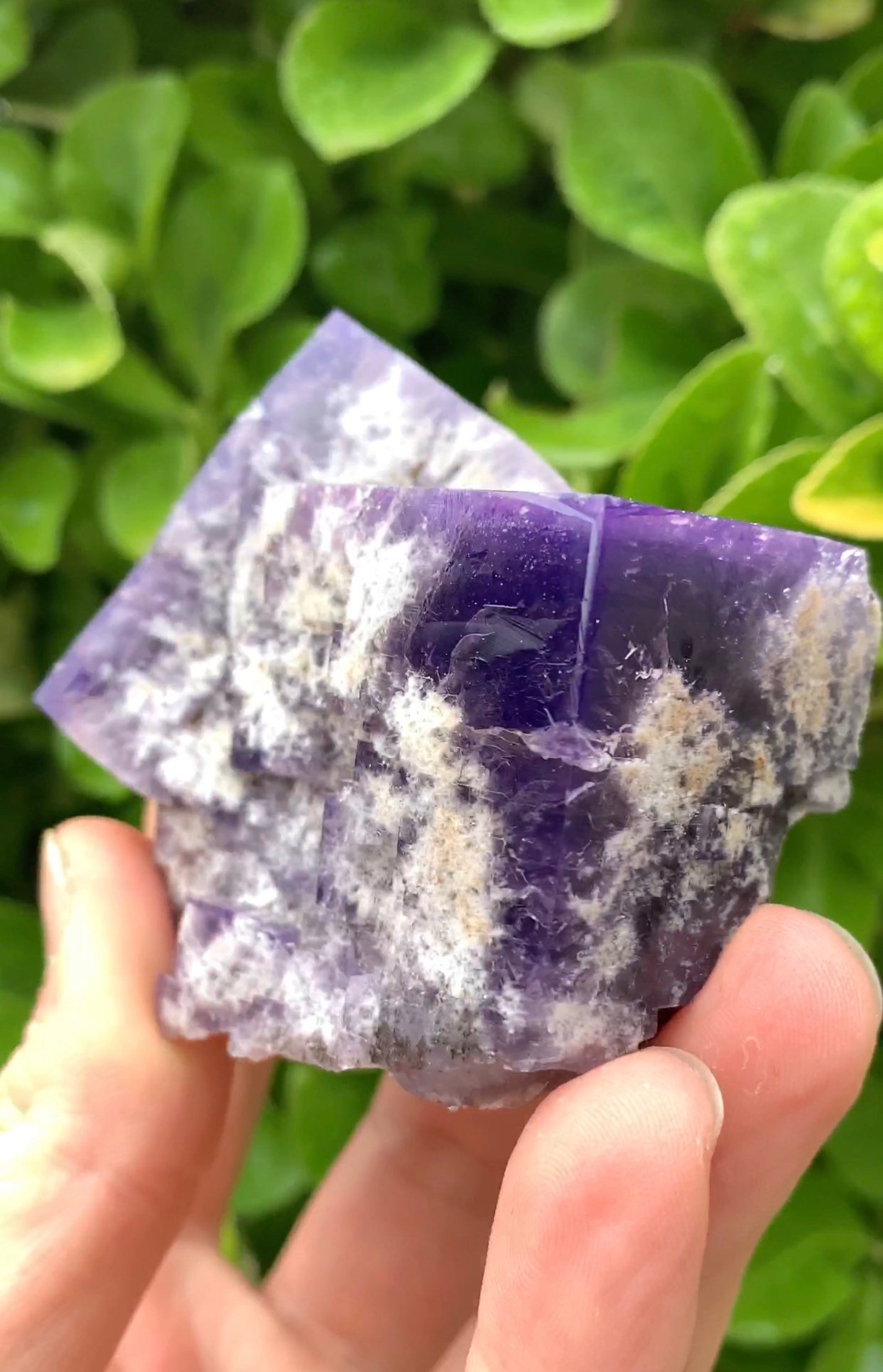Color Changing Fluorite Rogerley Fluorite Diana Maria Mine Etsy