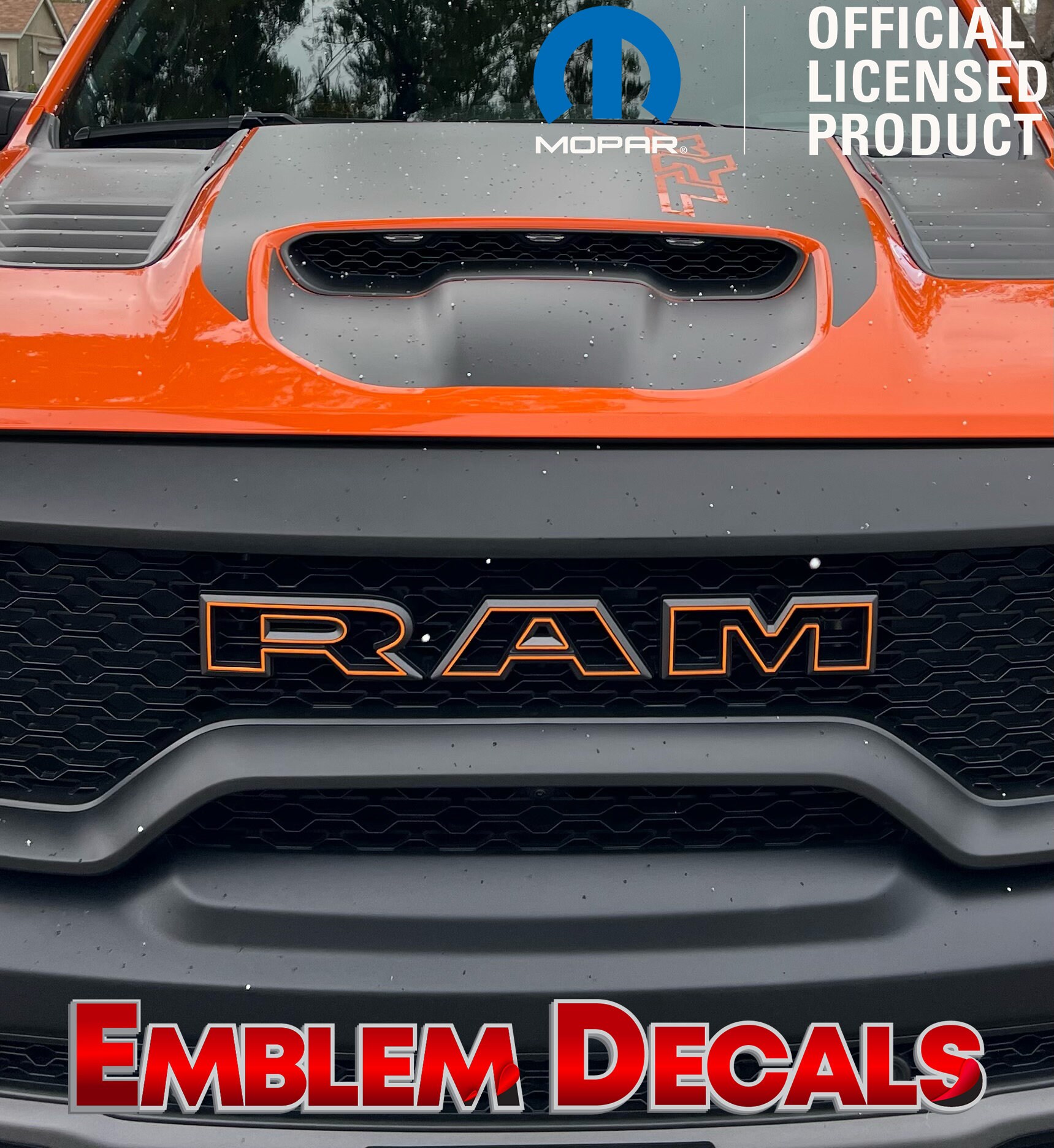 Ram 1500 RHO Grill 