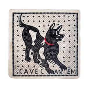 Könnte beinhalten: Eine schwarz-weiße Mosaikfliese mit einem schwarzen Hund, der ein rotes Halsband trägt. Die Fliese hat einen weißen Hintergrund mit schwarzen Punkten und die Worte "Cave Canem" sind in Schwarz unten geschrieben.