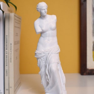 Può includere: Statua in gesso bianco della Venere di Milo, una famosa scultura greca. La statua è in piedi su una base bianca ed è rappresentata con un braccio mancante e un drappeggio che copre la parte inferiore del corpo.
