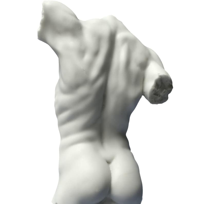 May include: White plaster sculpture of a male torso, viewed from the back. The sculpture is missing the head and arms, but the back muscles are visible.