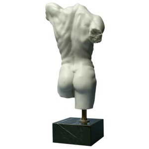 May include: White marble sculpture of a male torso, viewed from the back, on a black marble base.