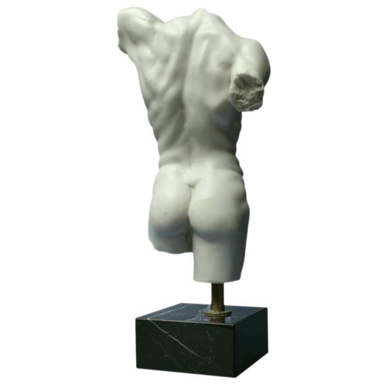 May include: White marble sculpture of a male torso, viewed from the back, on a black marble base.