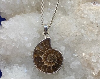 Ammonite pendant set with sterling silver, genuine fossil