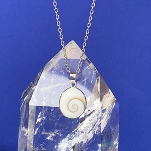 Könnte beinhalten: Eine silberne Kettenkette mit einem weißen Muschel Anhänger. Die Muschel hat ein Spiralmuster und ist in einer silbernen Fassung gefasst.