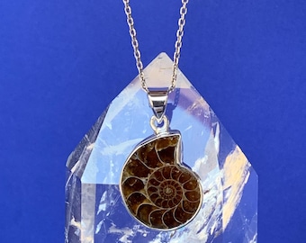 May include: A silver chain necklace with a brown ammonite fossil pendant. The pendant is set in a silver frame and is hanging from a silver chain.