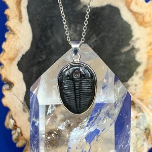 Trilobite fossile pendant set with sterling silver