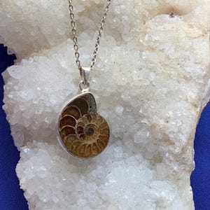 Pendentif ammonite et argent sterling, bijoux vrai fossile, petit format