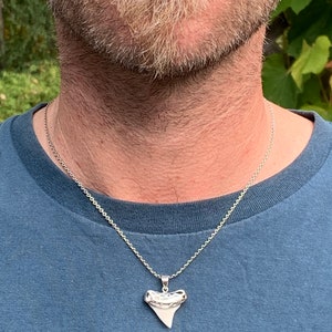 May include: A silver chain necklace with a silver shark tooth pendant.