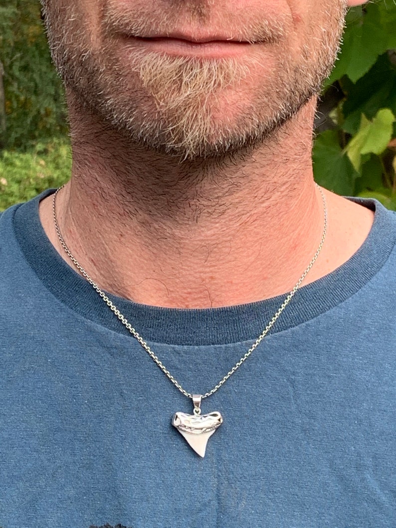 May include: A silver chain necklace with a silver shark tooth pendant.