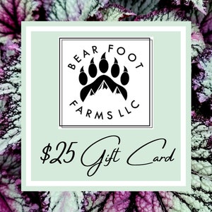 Gift Card | Bear Foot Farms Gift Card | Begonia Gift Card | Plant Gift Card