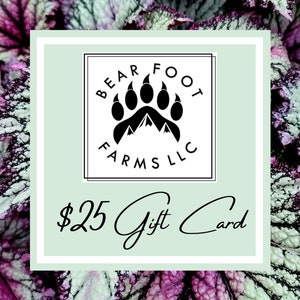 Gift Card Bear Foot Farms Gift Card Begonia Gift Card Plant Gift Card 25.00