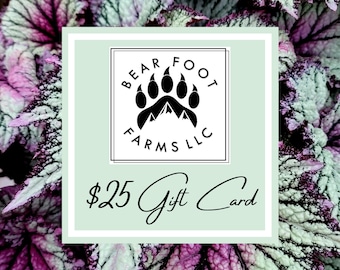 Gift Card | Bear Foot Farms Gift Card | Begonia Gift Card | Plant Gift Card