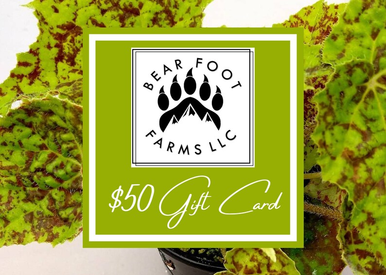 Gift Card Bear Foot Farms Gift Card Begonia Gift Card Plant Gift Card 50.00