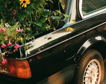 Fine Art Print - Flower Car
