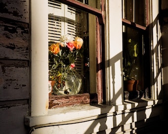 Fine Art Print - Window Flowers