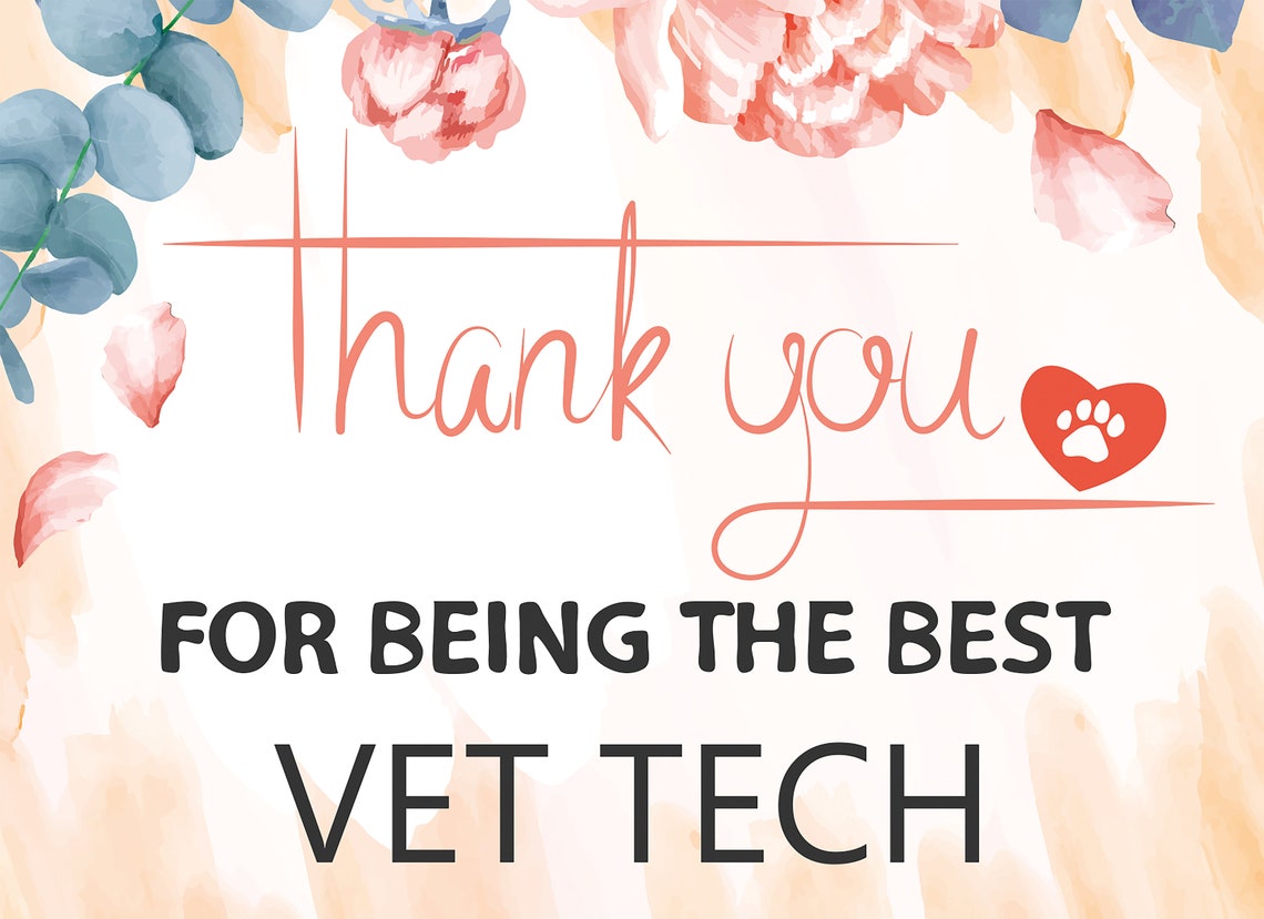 Vet Tech Thank You Gift svg.the best vet tech card SVG Etsy