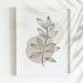 Set of 5 Printable Art Wall Collage Kit Minimalist Gallery - Etsy