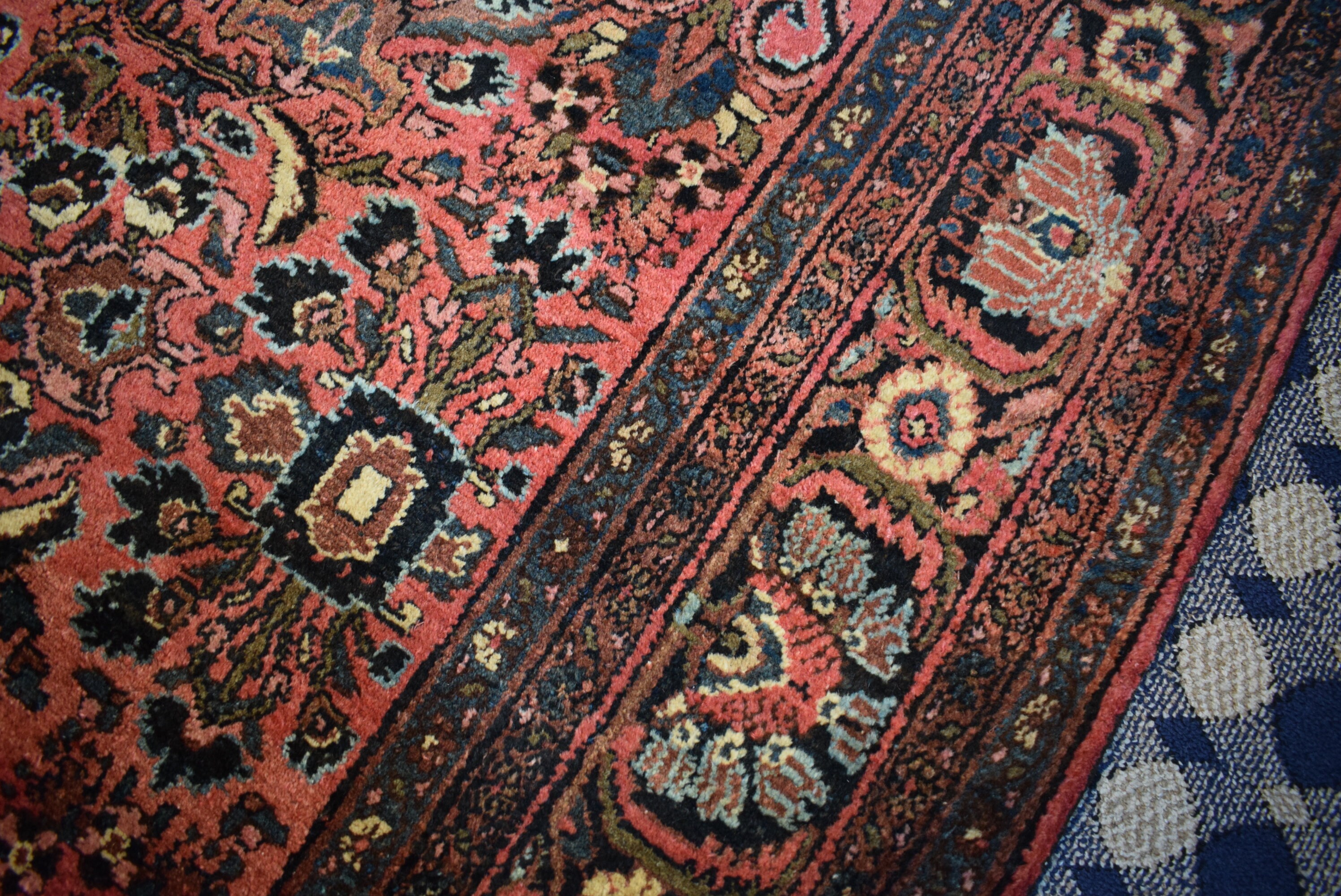 9 X 11.7 Ft Collector's Carpet Wholesale Price Etsy