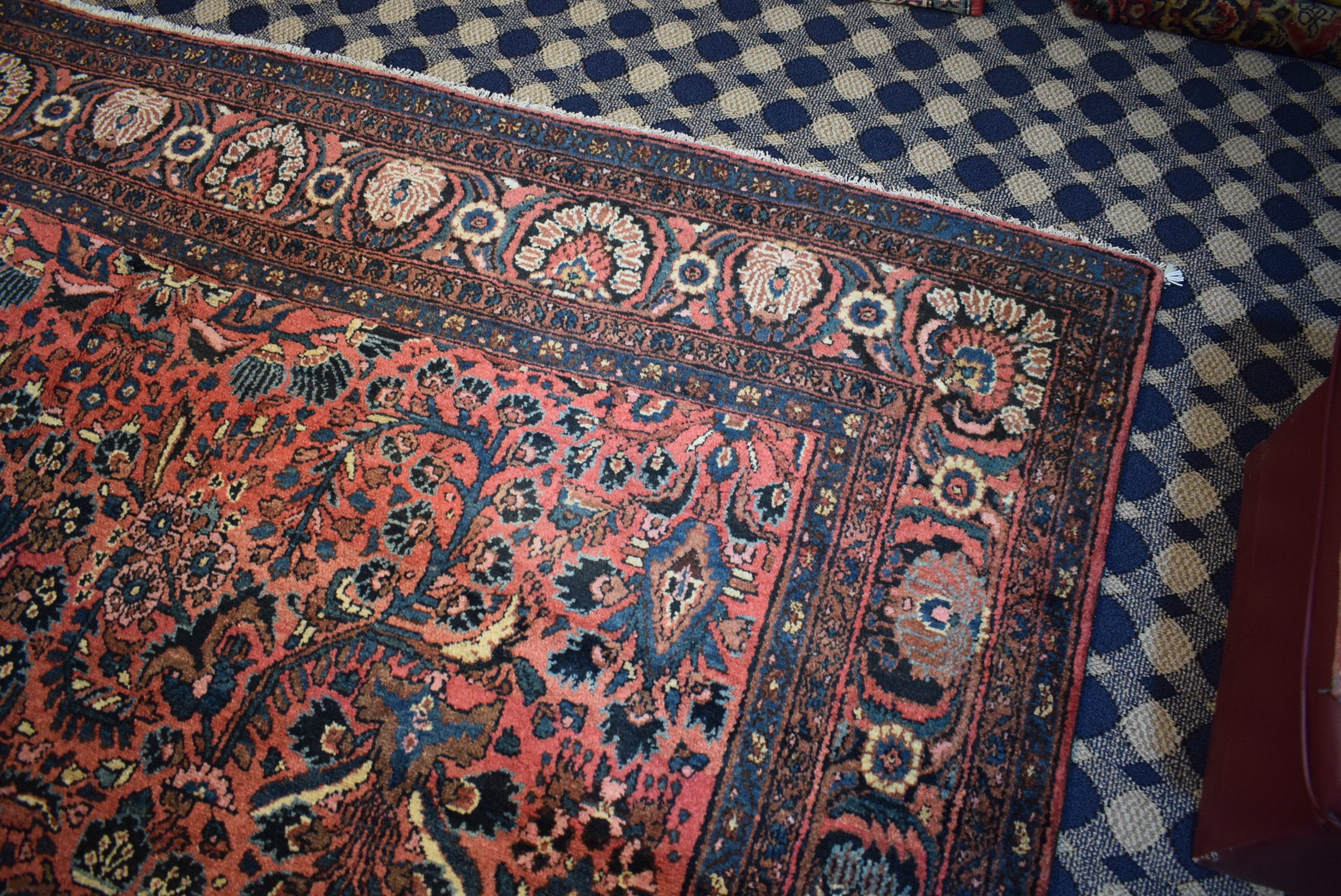 9 X 11.7 Ft Collector's Carpet Wholesale Price Etsy