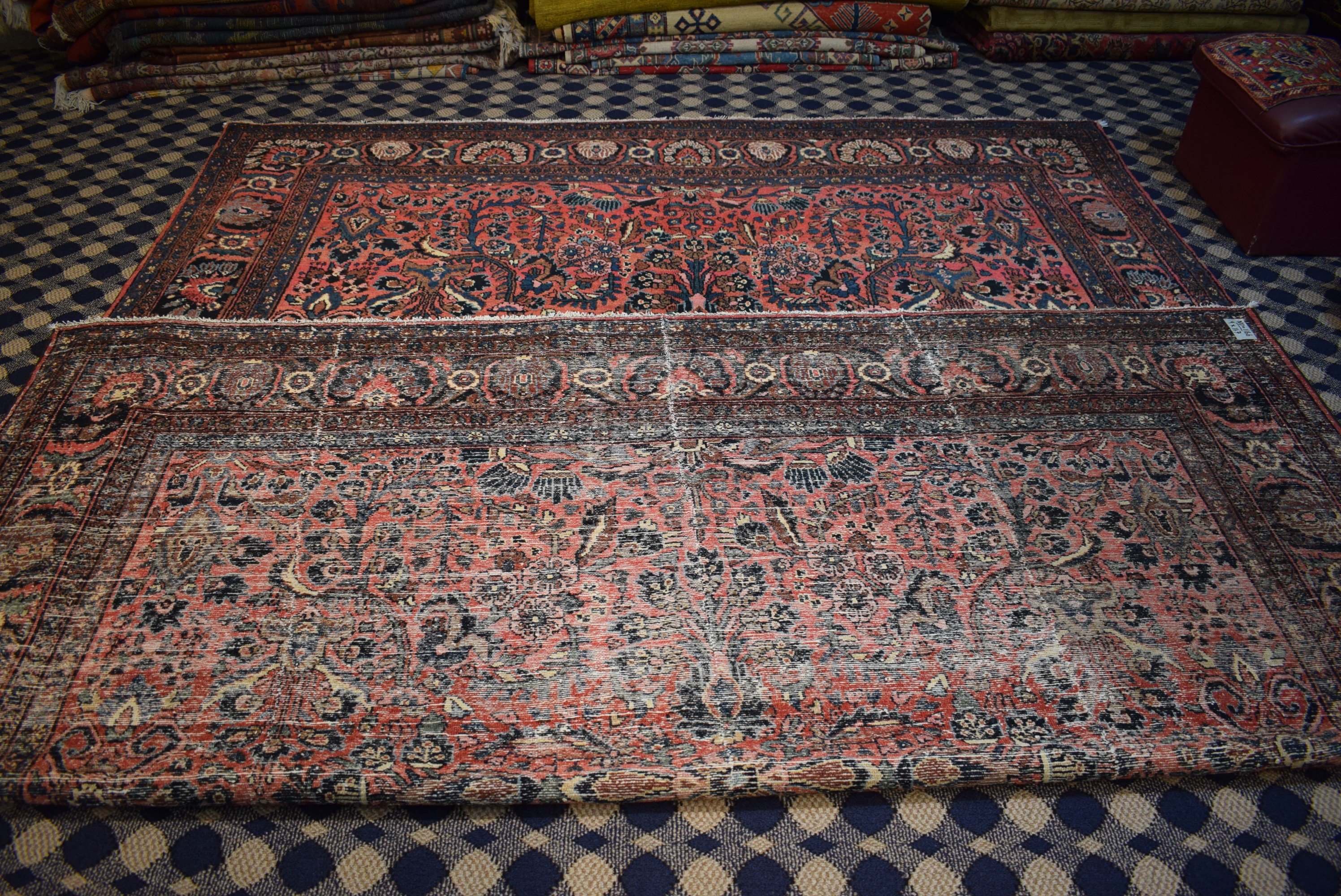 9 X 11.7 Ft Collector's Carpet Wholesale Price Etsy