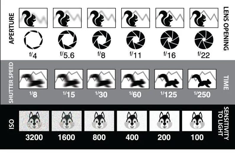 Dslr/mirrorless Photography 