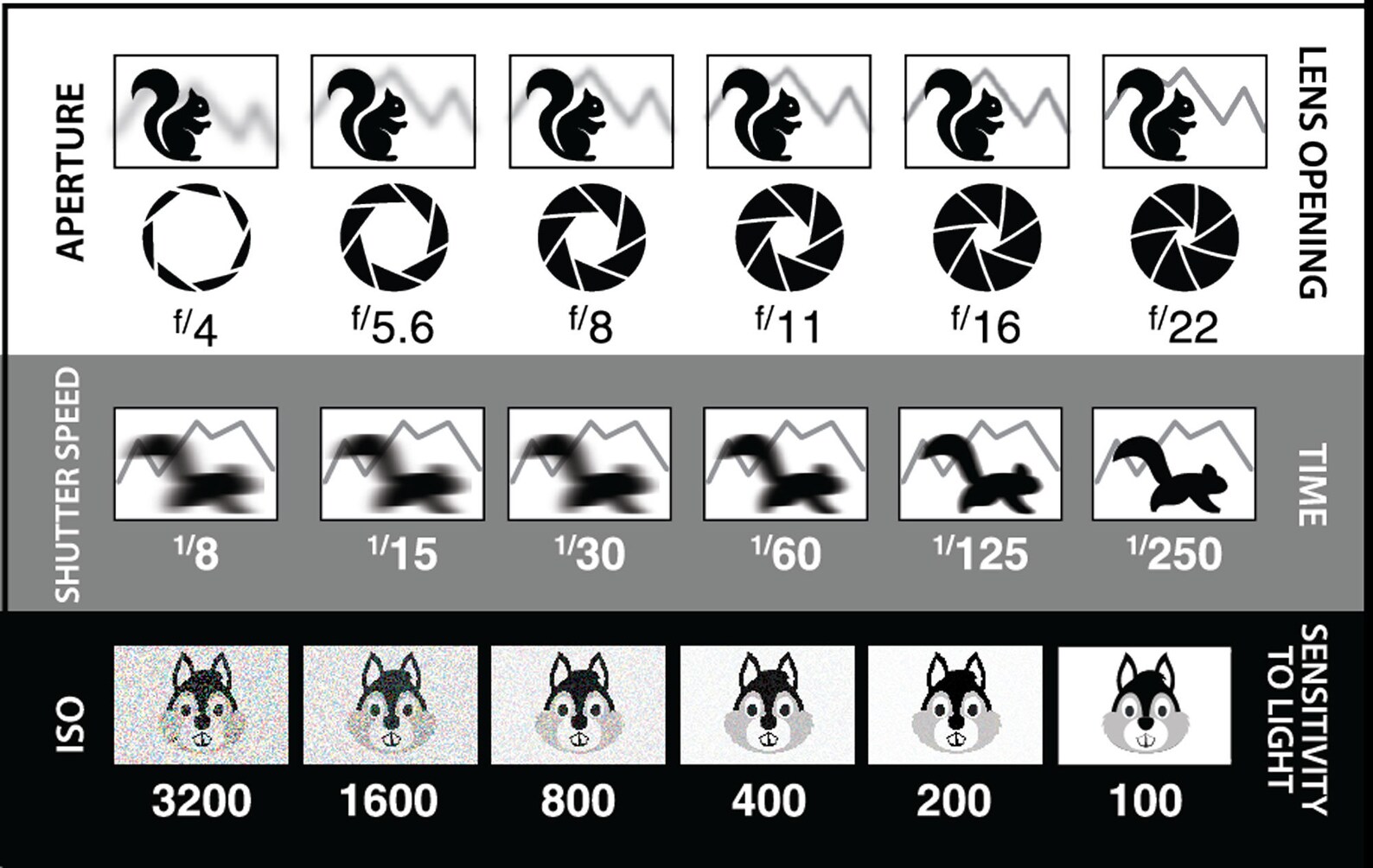 Dslr/mirrorless Photography cheat Sheet Credit Card Size Photo