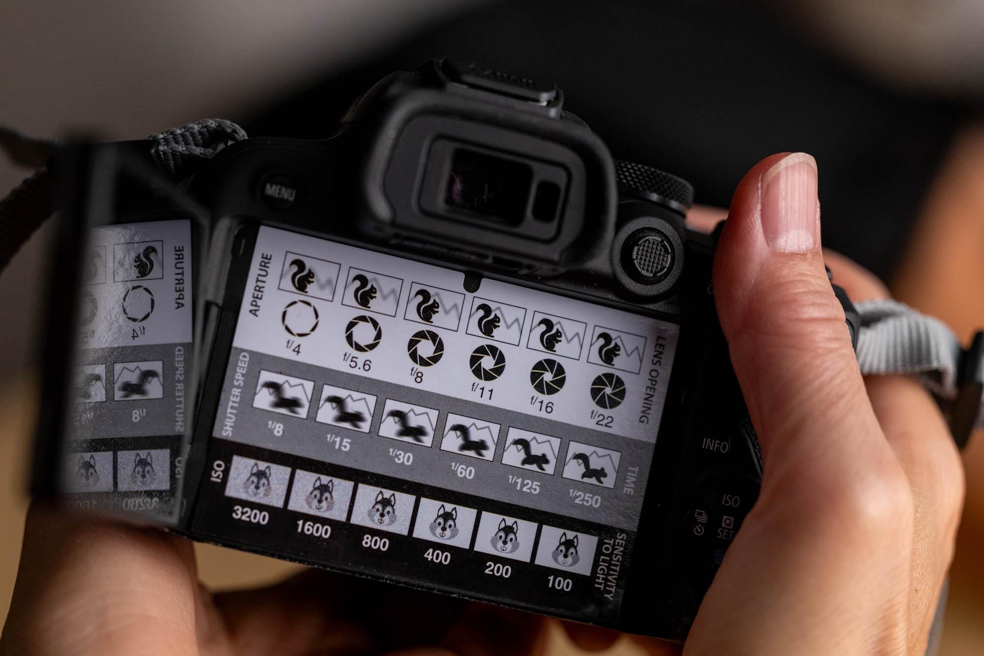 Camera Reference Card Dslr/mirrorless Photography