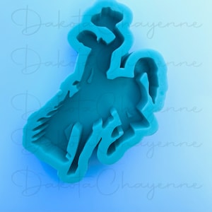 Bronco Cowboy Moule en silicone pour décoration de voiture, Moules de décoration de voiture, Moules Western Cactus pour perles aromatiques