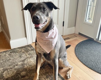 Personalized Dog Bandana: Embroidered Over-the-Collar Cotton Scarf