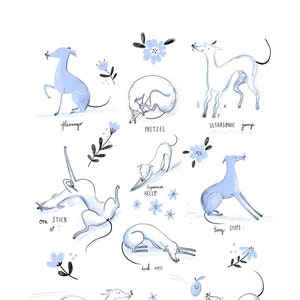 Greyhound PRINTABLE illustration poster, Italian greyhound, Whippet, Sighthound art print